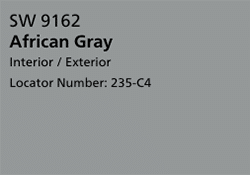 africangray-gray-colors