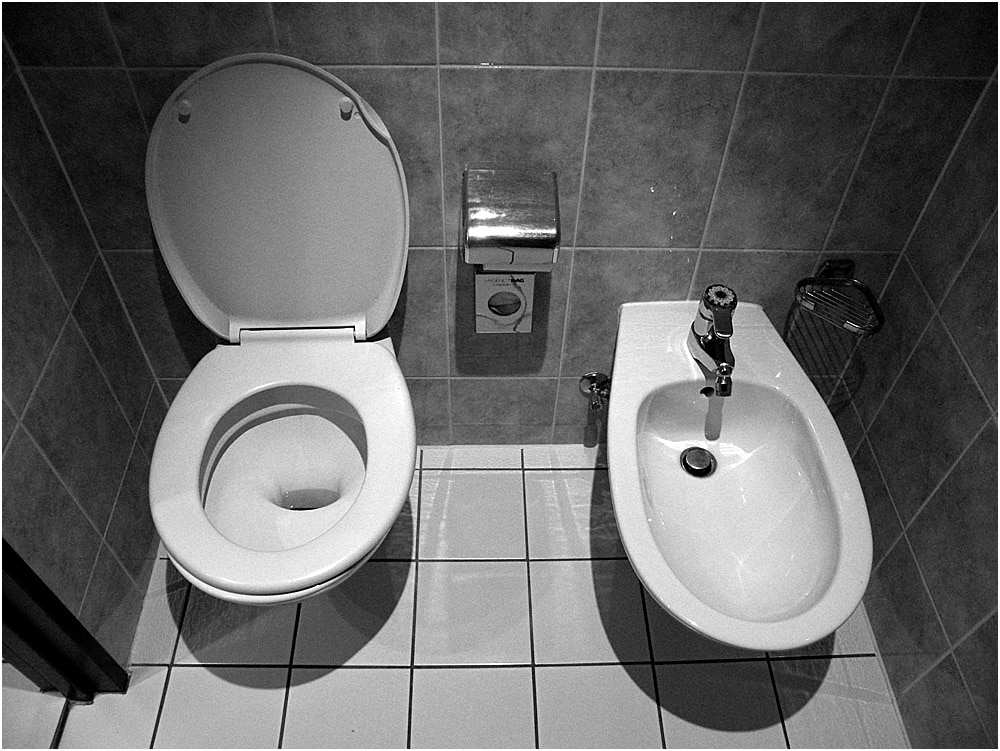 Everything You've Always Wanted to About the Bidet and Then Some - WPL Interior