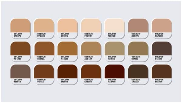Pantone Launches SkinTone Validated Program | WPL Interior Design